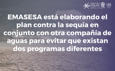 EMASESA ESTÁ ELABORANDO EL PLAN CONTRA LA SEQUÍA EN CONJUNTO CON OTRA COMPAÑÍA DE AGUAS PARA EVITAR QUE EXISTAN DOS PROGRAMAS DIFERENTES