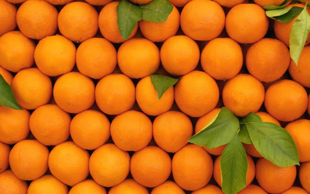 CONVERTIR EL RESIDUO DE LAS NARANJAS AMARGAS EN UN PRODUCTO, BASE DEL CAMBIO ENERGÉTICO EN SEVILLA.